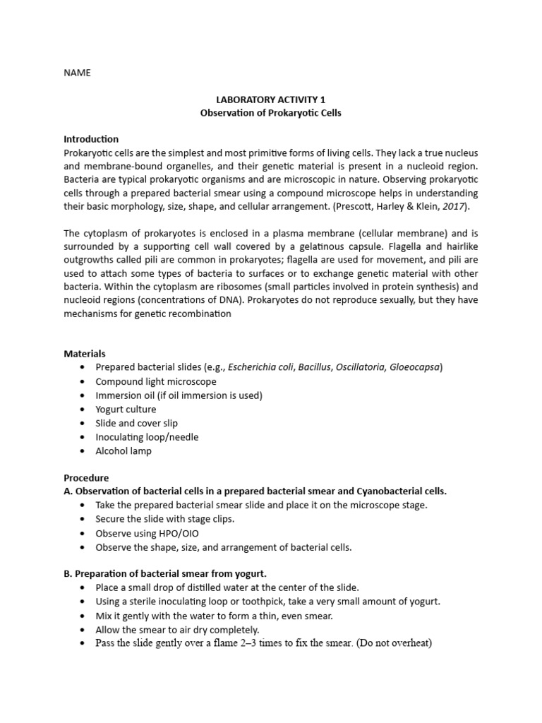 Prokaryotic Cell Observation Lab Guide | PDF | Bacteria | Prokaryote