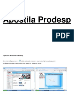 Apostila Prodesp