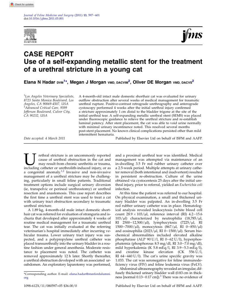 Photo inspiration: Herbs For Cat Urinary Incontinence Prevention Reference: Urethral Stricture Treatment In Cats Pdf Stent