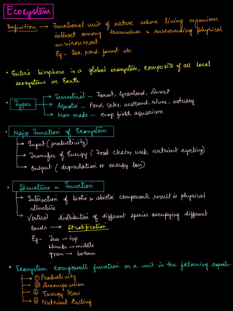 Ecosystem | PDF | Primary Production | Ecosystem