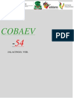 Cobaev-54 Jalacingo