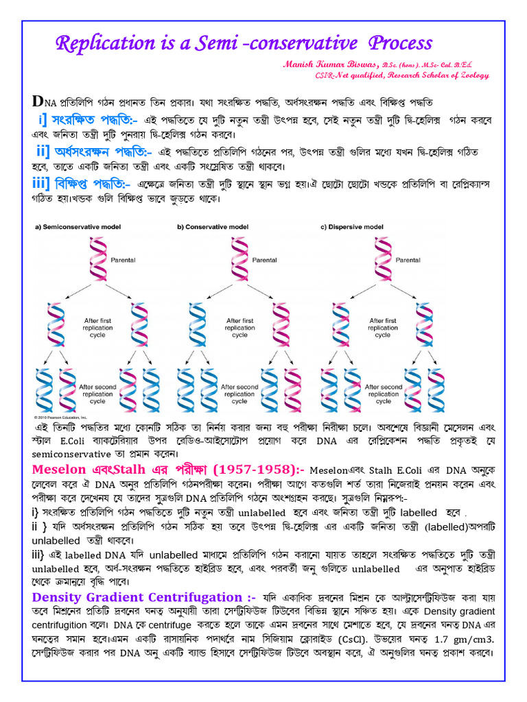 Replication is a Semiconservative New | PDF | Dna | Nucleic Acids
