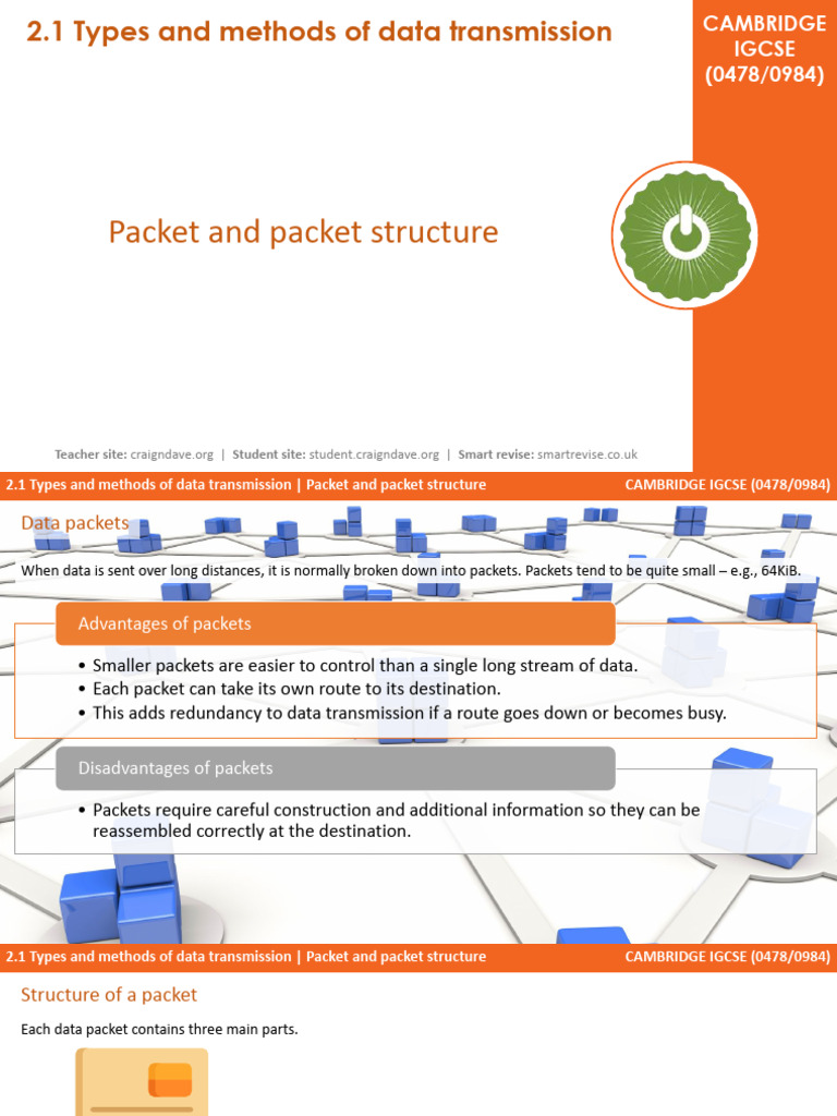 Data Transmission: Packet Structure Explained | PDF | Network Packet ...