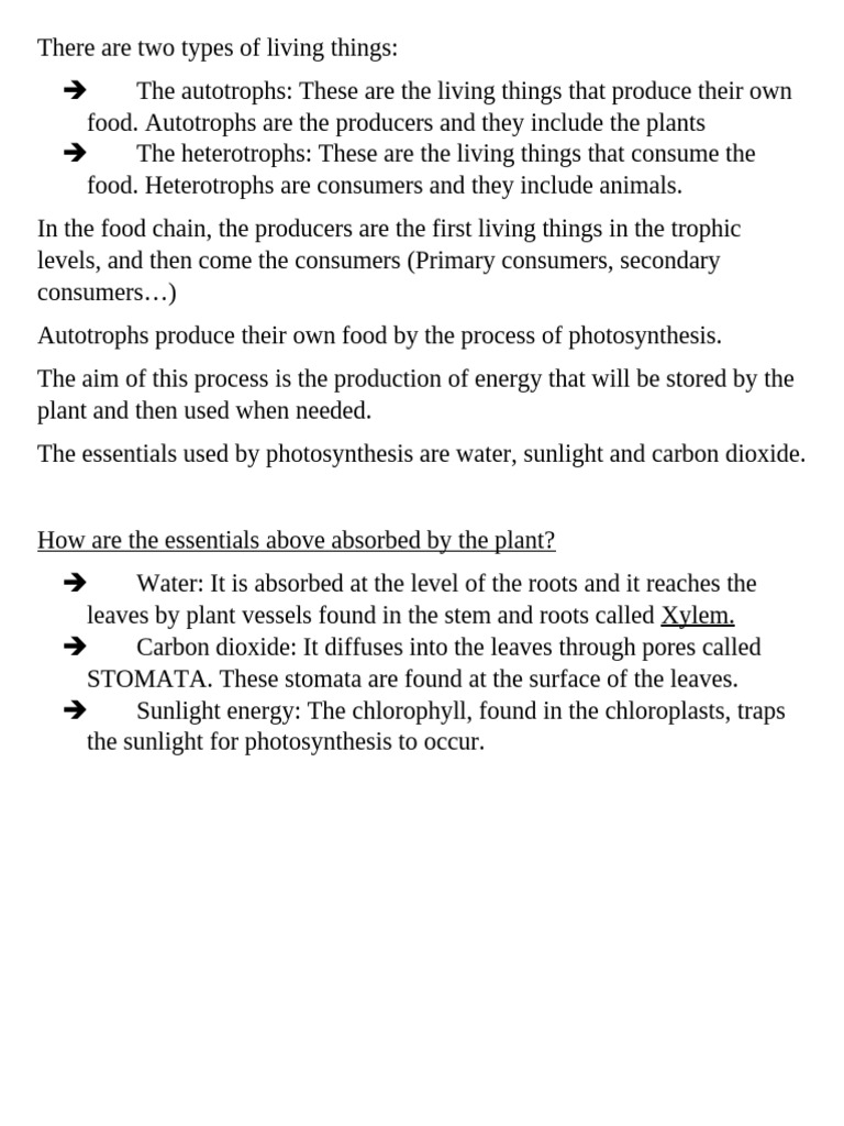 Autotrophs and Photosynthesis Explained | PDF