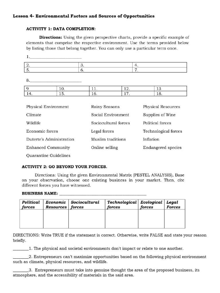 Lesson 4 - Environmental Factors and Sources of Opportunities | PDF