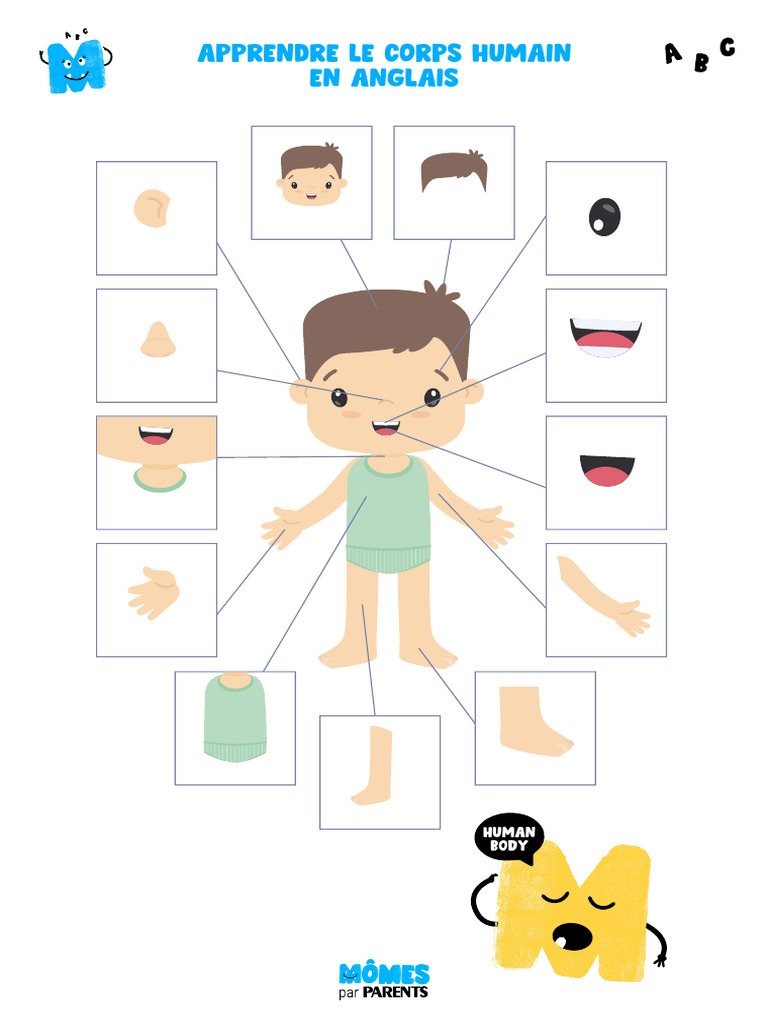Apprendre le corps humain en anglais PDF — free download