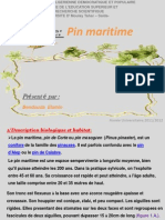 Pin Maritime