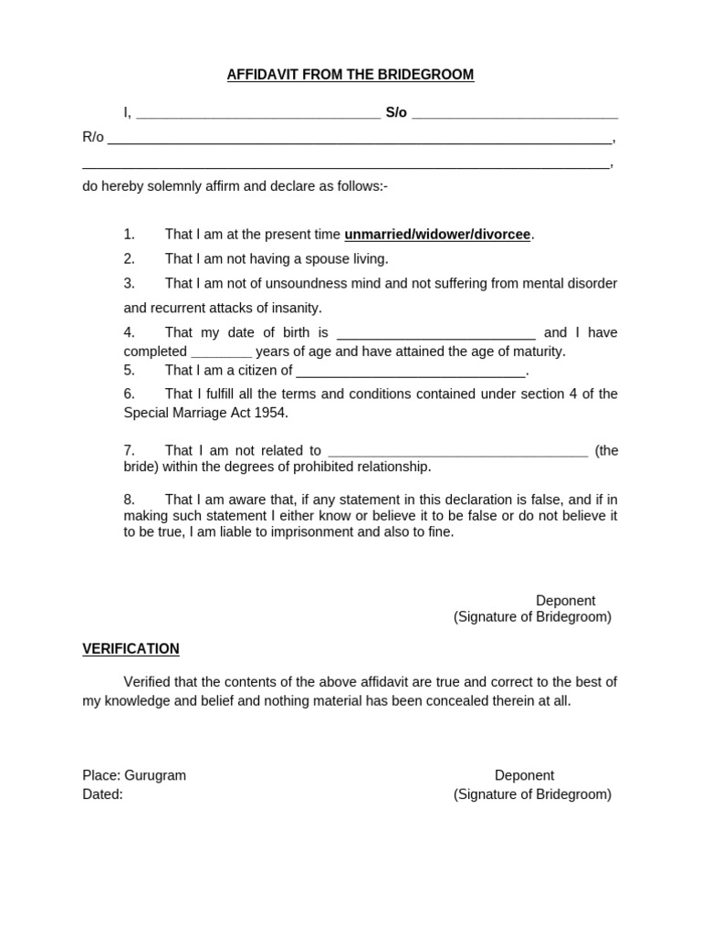 Affidavit Under Section 13 | PDF | Affidavit