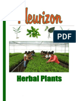 Herbal Plant Catalog Fleurizon