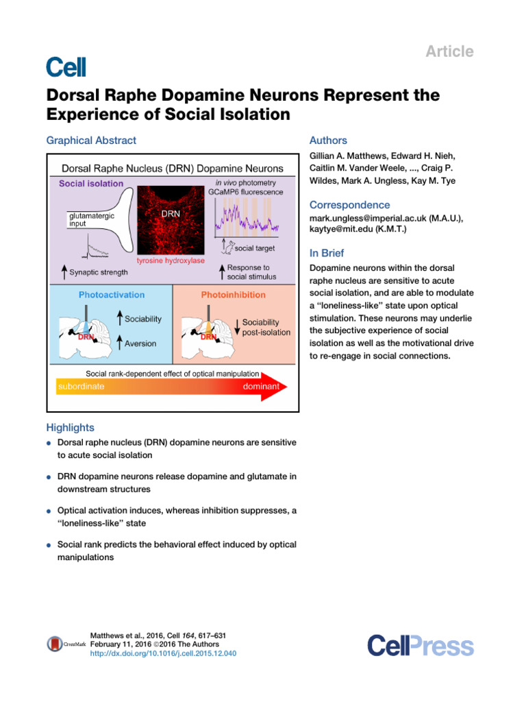 Dorsal Raphe Neurons and Social Isolation | PDF | Reward System | Synapse