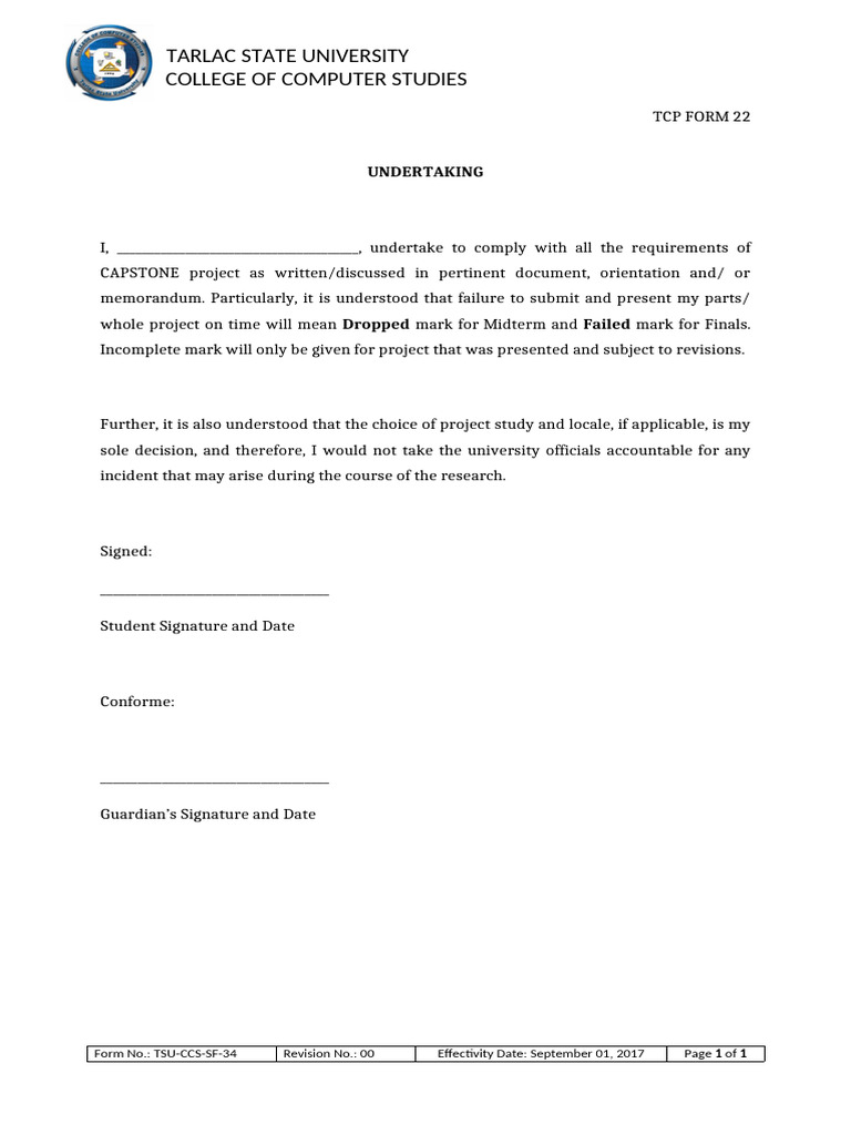 Capstone Project Undertaking Form | PDF