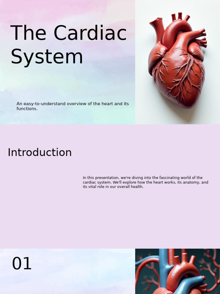 Overview of Heart Anatomy and Functions | PDF | Heart | Vein
