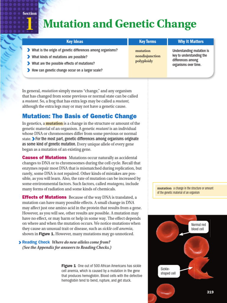 Understanding Genetic Mutations | PDF | Mutation | Genetic Code