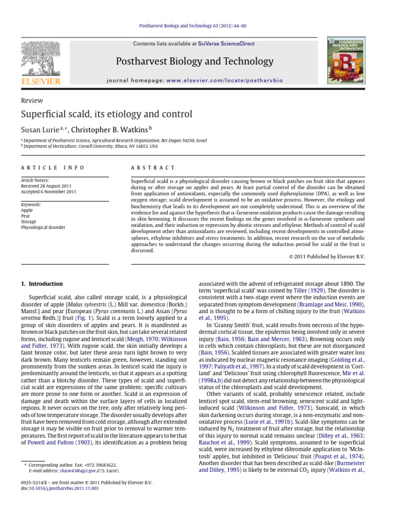 Superficial Scald in Apples and Pears | PDF | Antioxidant