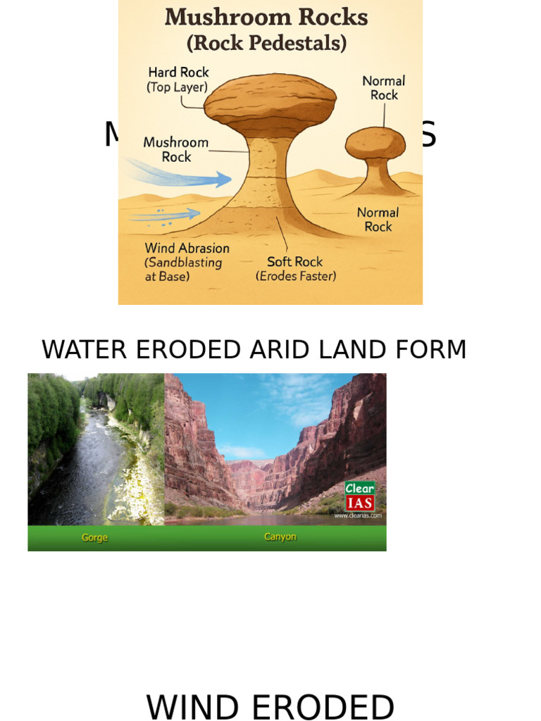 Mushroom Rocks | PDF
