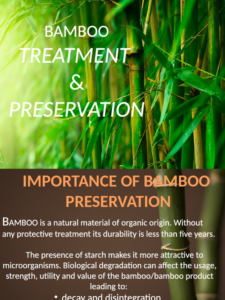Bamboo Treatment and Preservation Techniques | PDF | Bamboo
