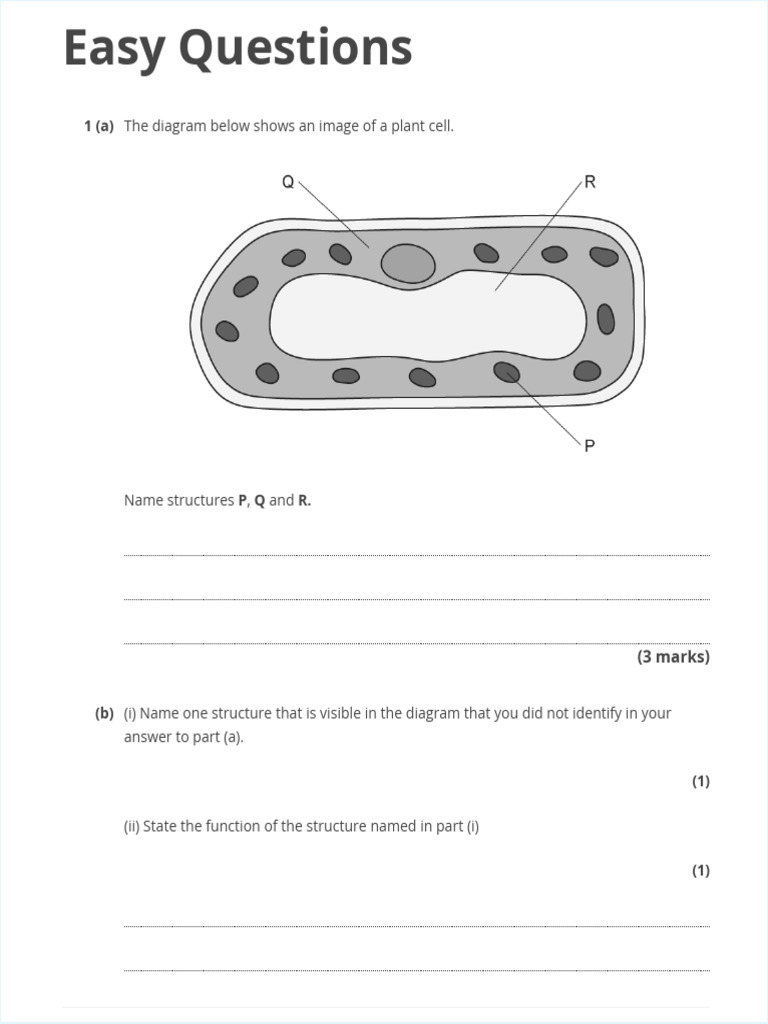 Plant and Animal Cell Structure Quiz | PDF | Cell (Biology) | Biology