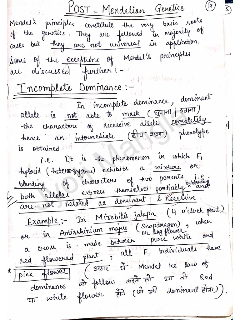 Genetics Part 3 | PDF