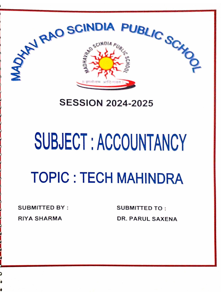 Accountancy Project | PDF