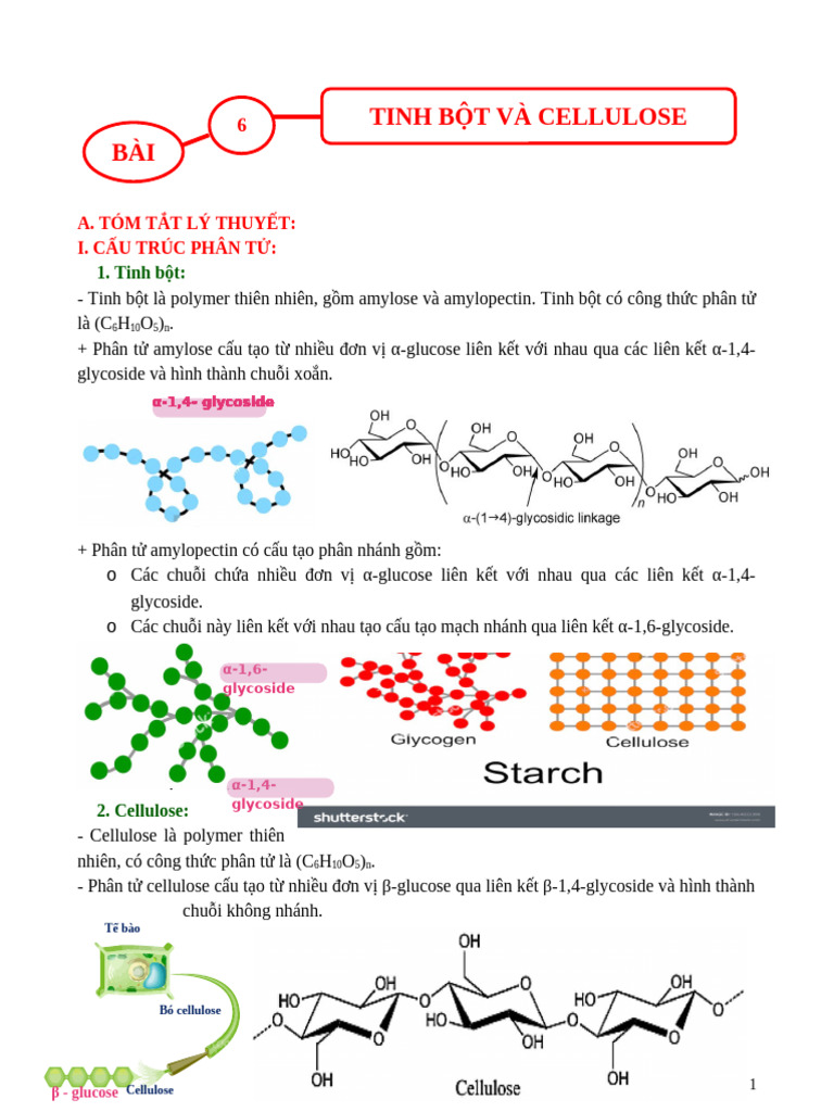 Bài 6-Tinh B T Và Cellulose. | PDF