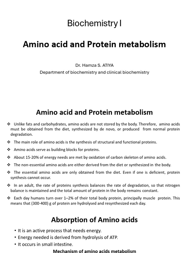 Metabolism of a.a Lecture 1 | PDF | Amino Acid | Protease