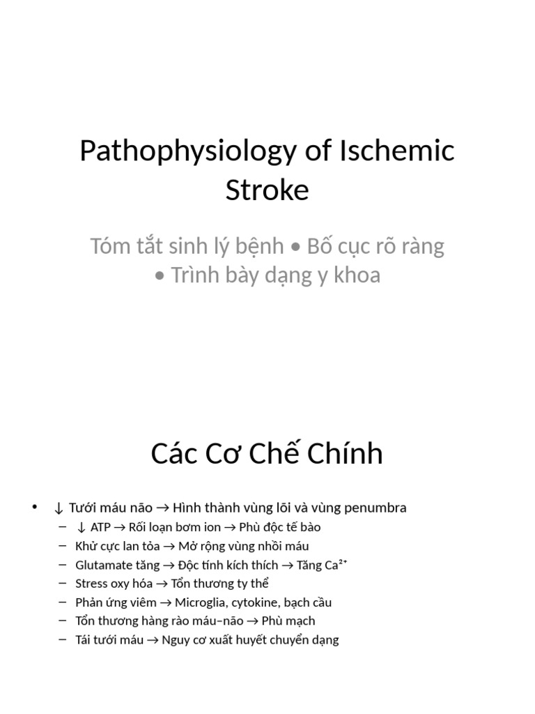 Ischemic Stroke Pathophysiology Presentation | PDF