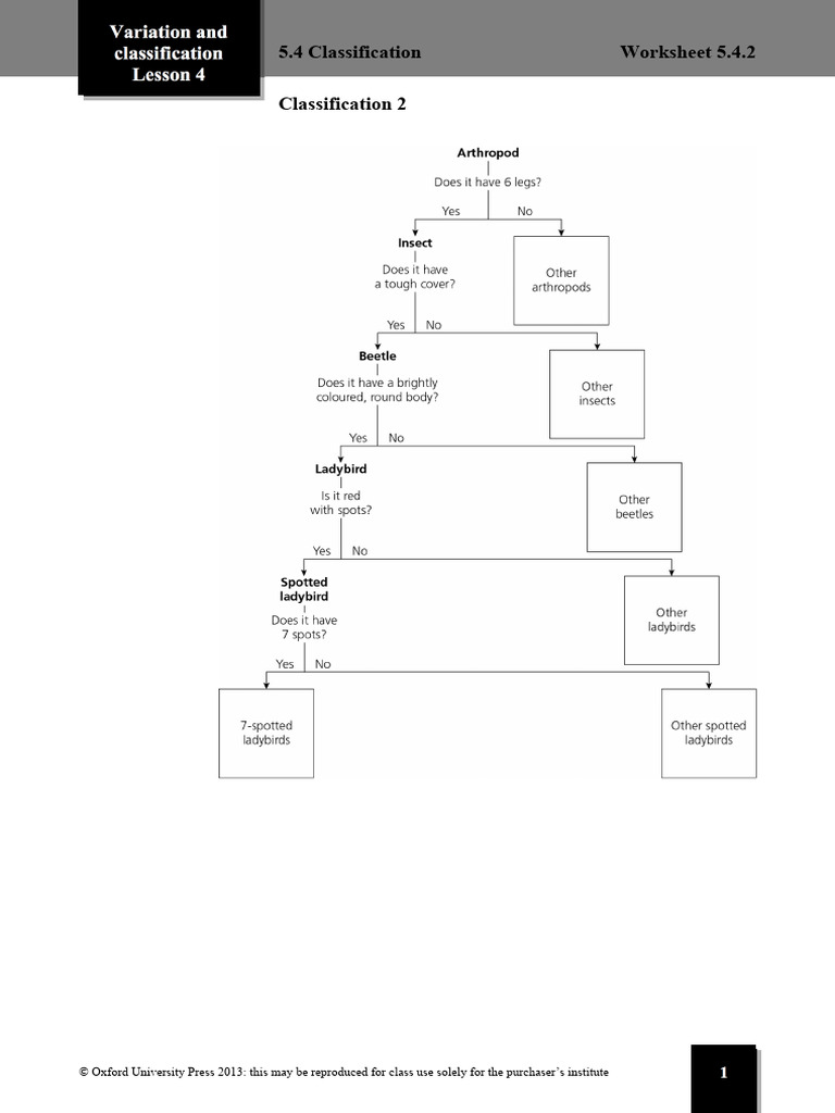 Classification and Variation Worksheet | PDF
