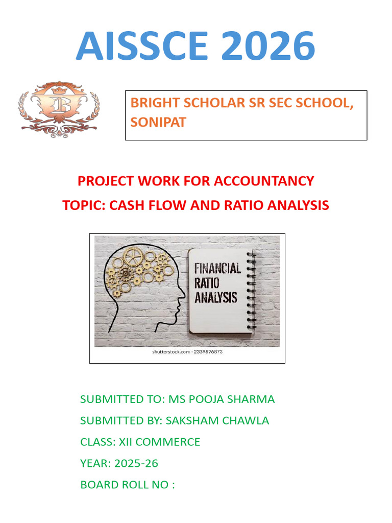 Cash Flow & Ratio Analysis Project | PDF
