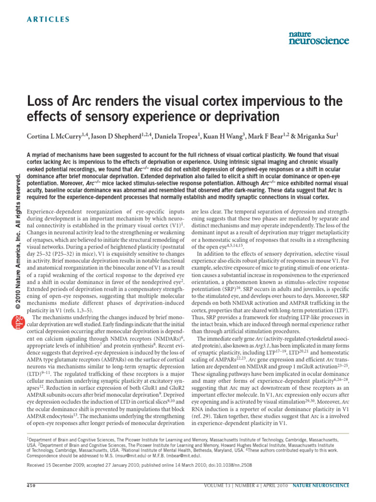 Role of Arc in Visual Cortex Plasticity | PDF | Synaptic Plasticity ...