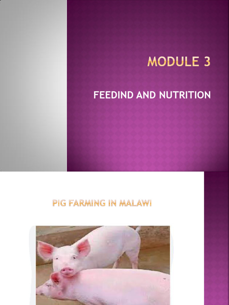 Essential Pig Nutrition Guidelines | PDF | Nutrition | Diet & Nutrition
