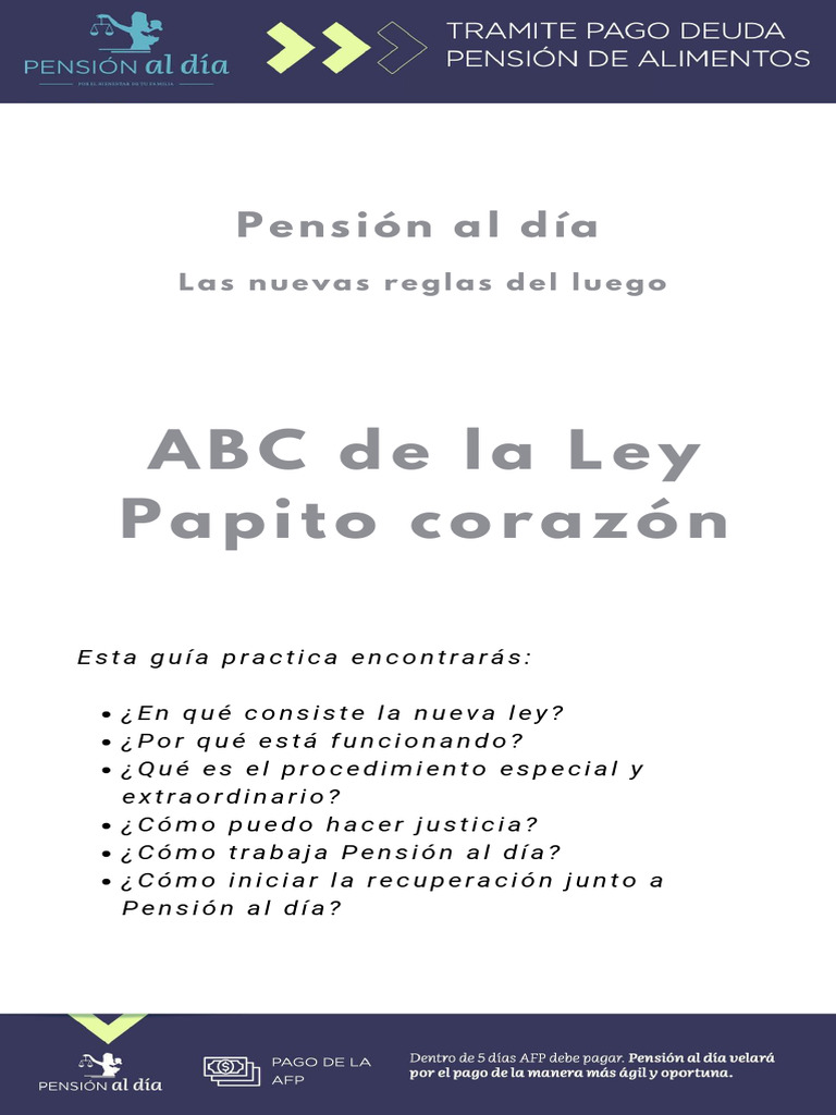 ABC de La Nueva Ley - v4 | PDF | Pensión