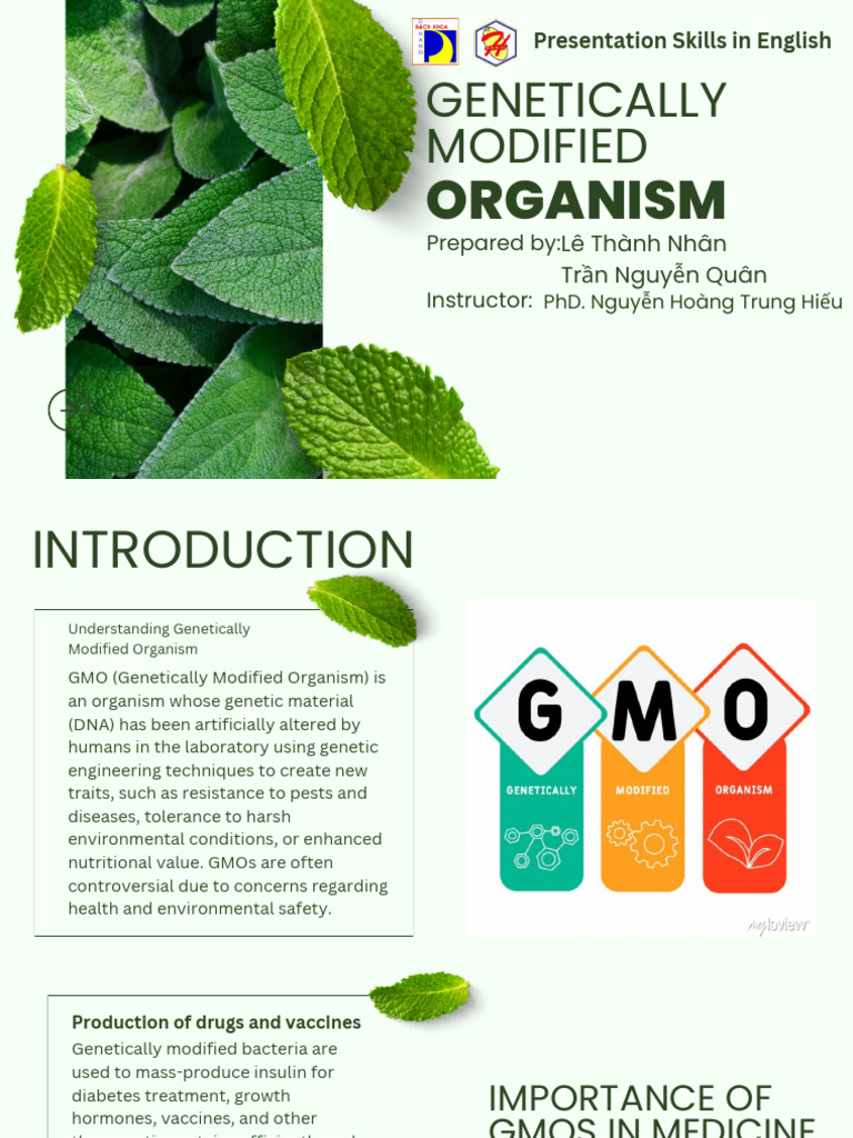 Genetically Modified Organism (1) | PDF | Genetically Modified Organism ...