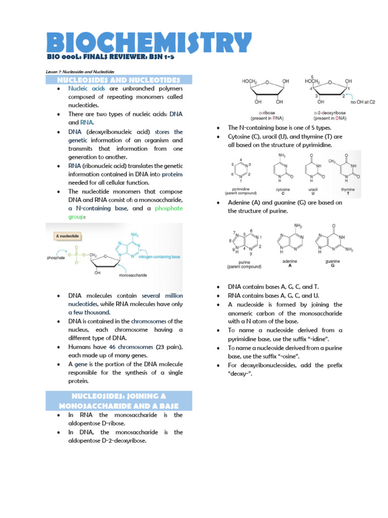 Biochemistry of Nucleic Acids Review | PDF | Rna | Directionality ...