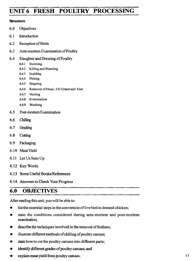 Poultry Processing Steps Explained | PDF | Poultry | Poultry Farming
