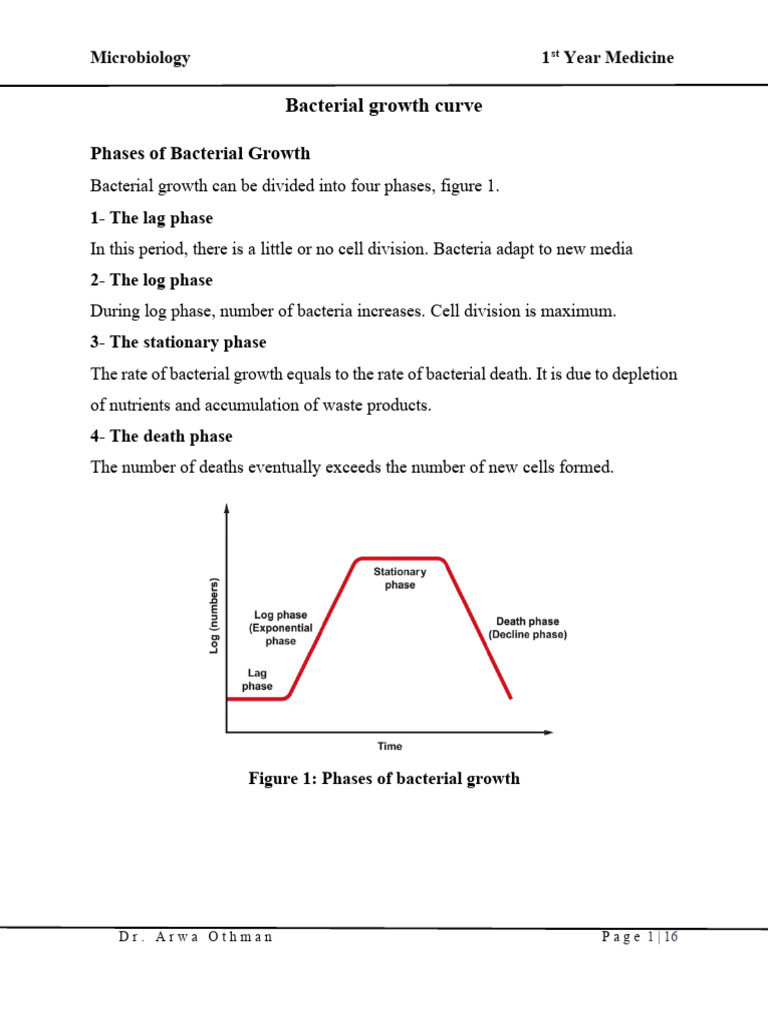 Bacterial growth and metabolism_260111_184106 | PDF | Sterilization ...