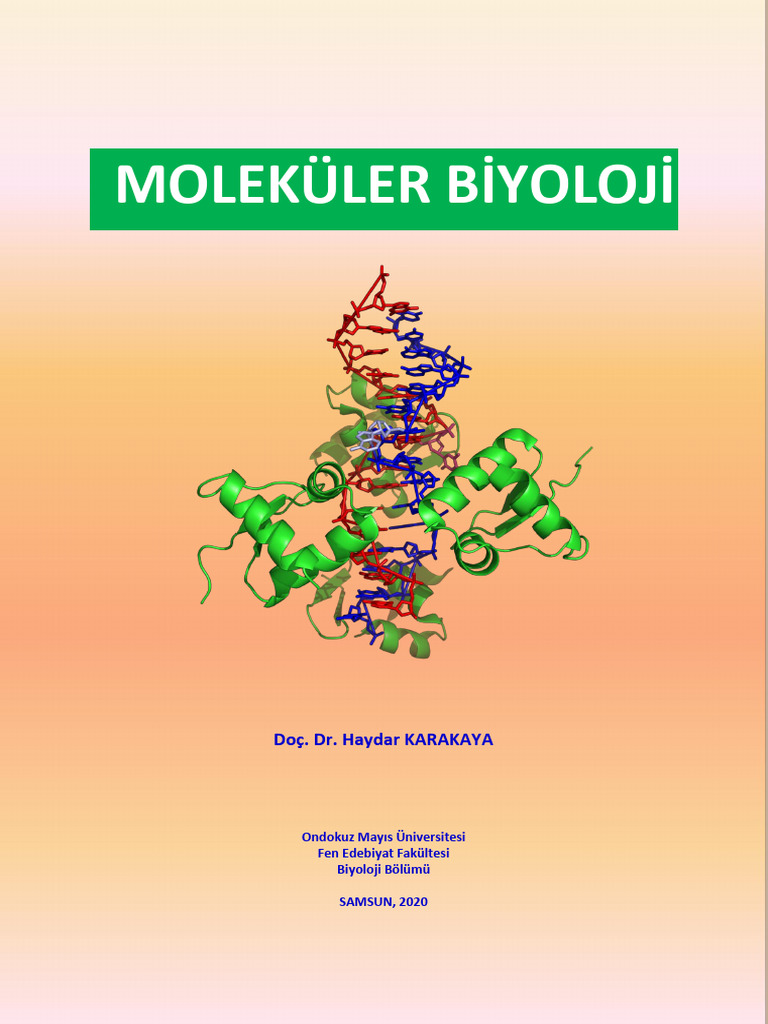 1 Giriş (Moleküler Biyoloji 2020 Tümü) | PDF