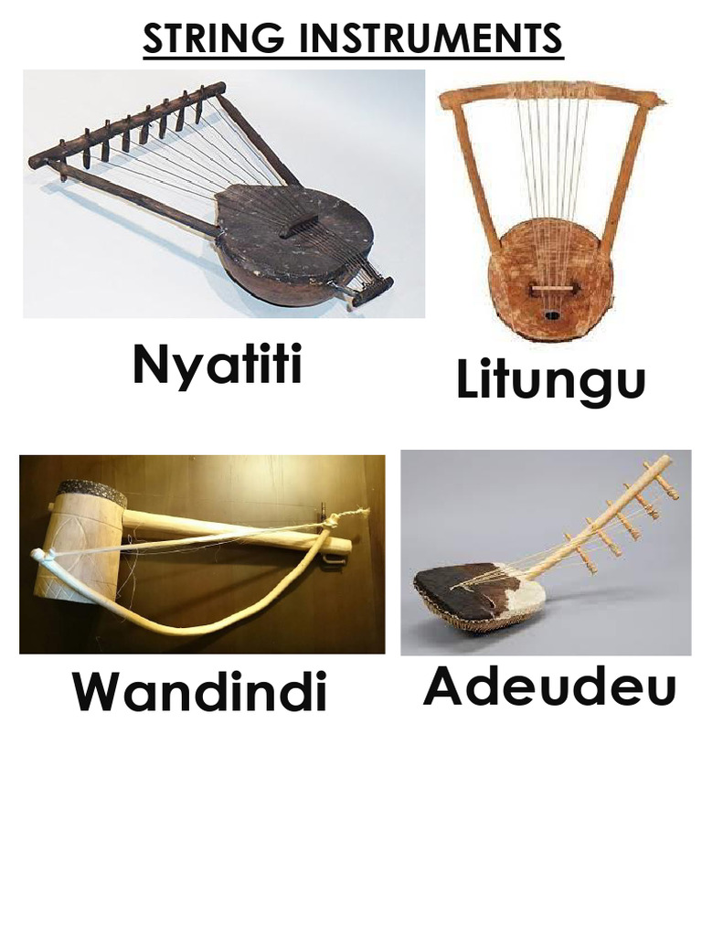 4 String Instruments | PDF