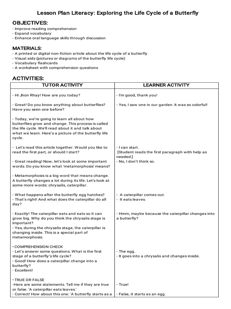 Lesson Plan Literacy | PDF