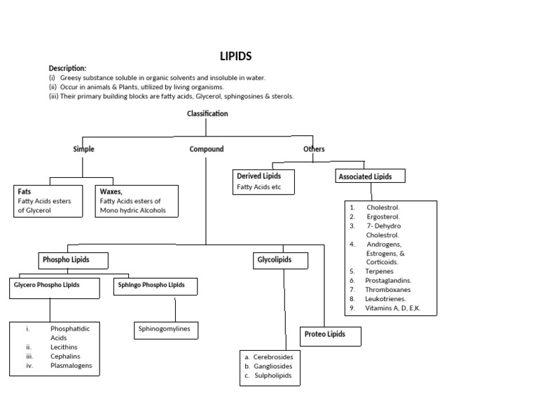 LIPIDS Classification flow chart | PDF | Lipid | Natural Products