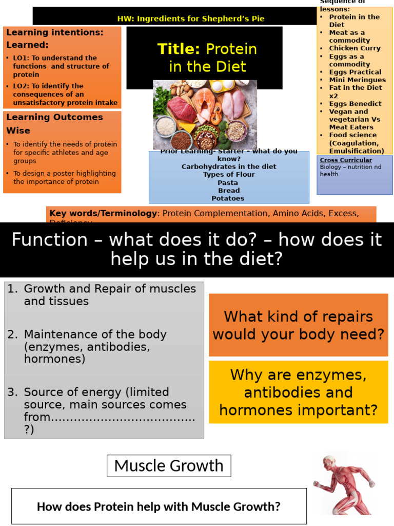 Lesson 1 - Protein in the Diet | PDF | Vegetables | Proteins