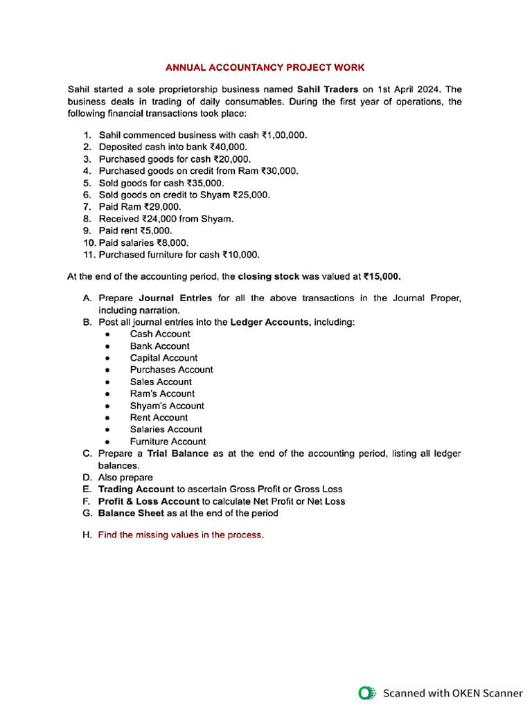 Accountancy Project Work | PDF