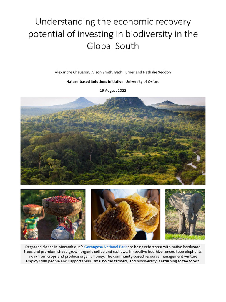 Investing in Biodiversity for Economic Recovery | PDF | Sustainability ...