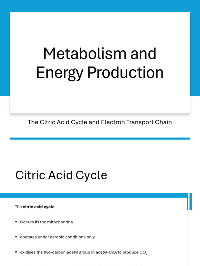 Citric Acid Cycle & Electron Transport Explained | PDF | Electron ...