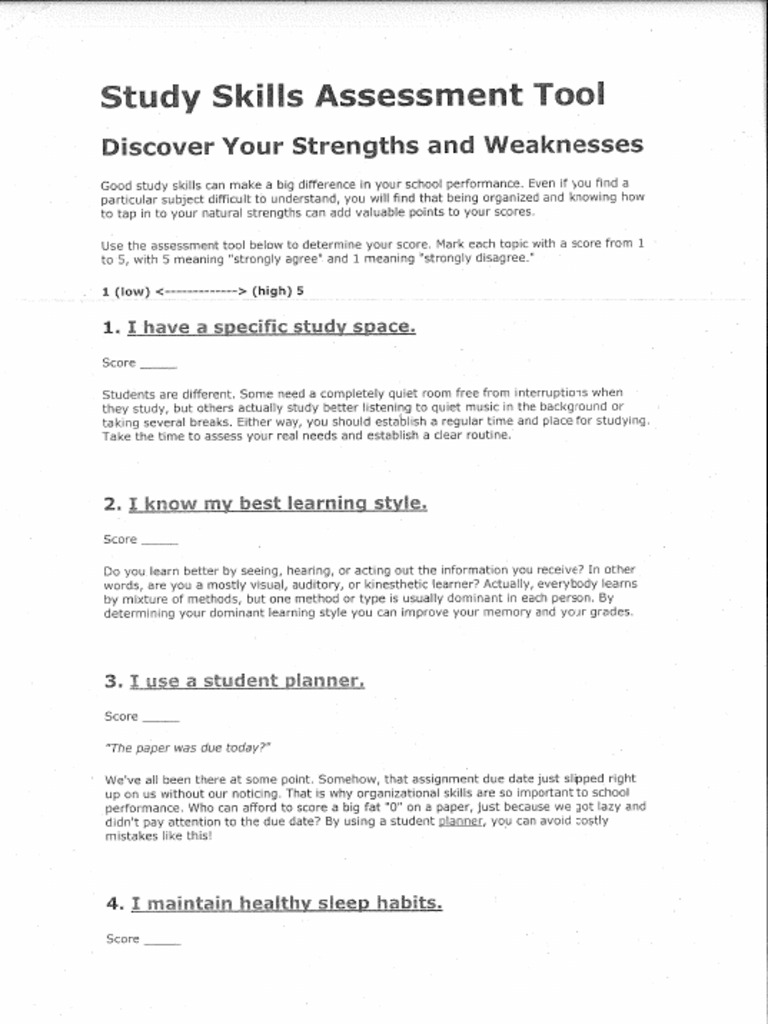 Alvaro Asun - Study Skills Assessment Tool | PDF