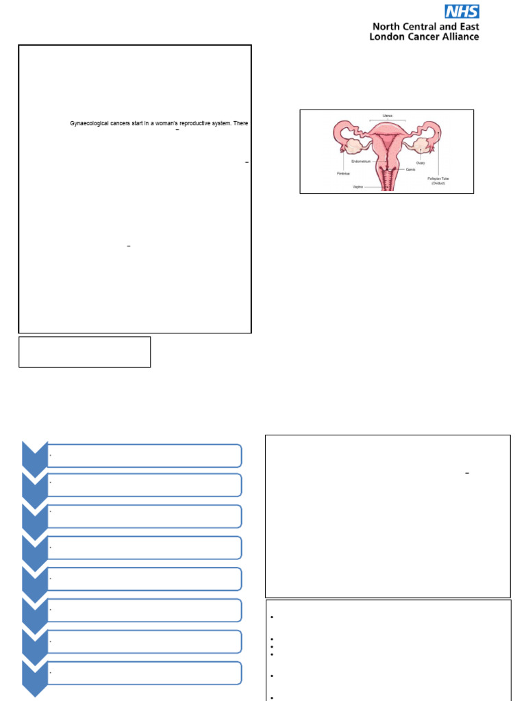 Gynaecological Cancer Patient Pathway Guide | PDF | Health Care ...