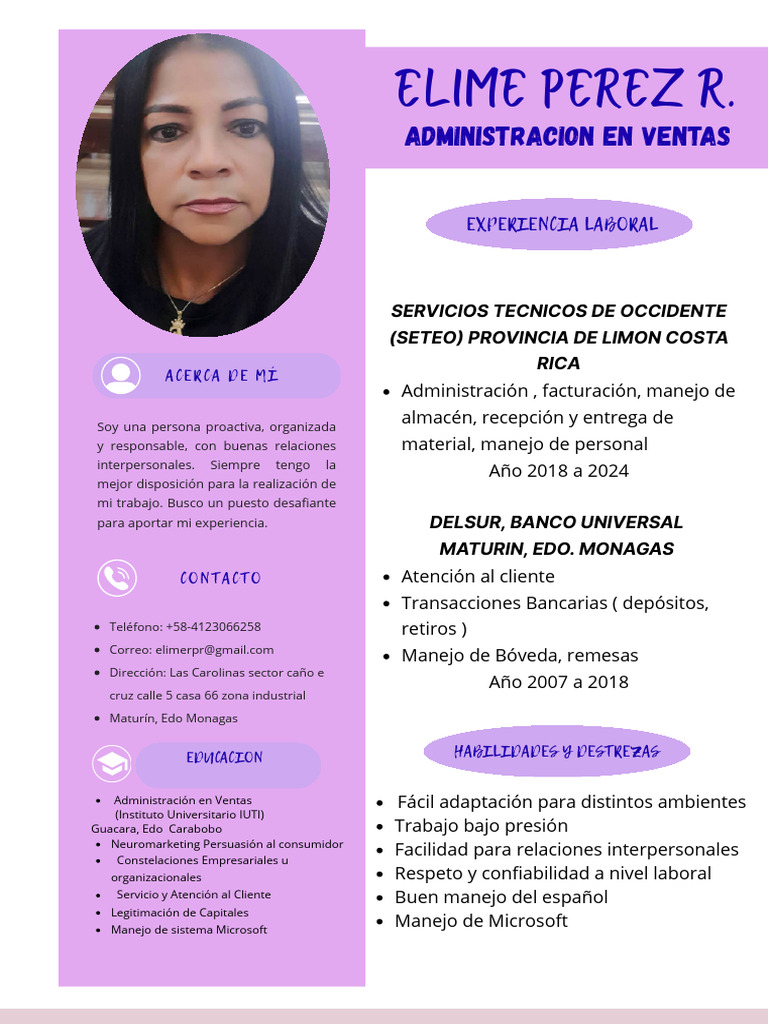 Perfil Profesional de Elime Pérez R. | PDF