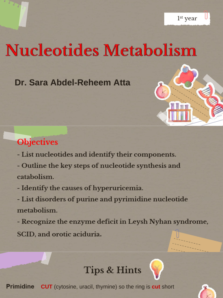 Nucleotide Metabolism and Disorders Overview | PDF | Nucleotides ...