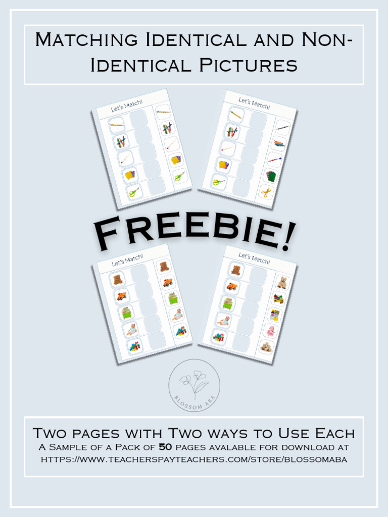 MatchingIdenticalandNonIdenticalPicturesPackFREEBIE-1 | PDF