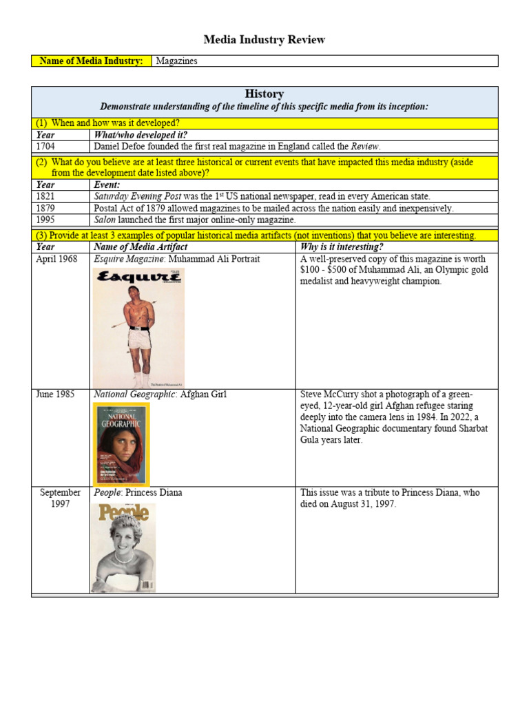 Media Industry Review Example | PDF