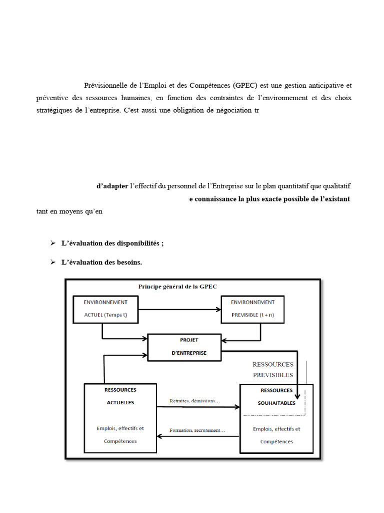 Outils et étapes de la GPEC efficace | PDF | Gestion des ressources ...